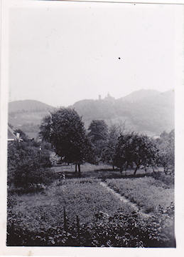 I nærheden af Rüdesheim